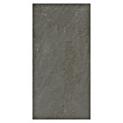 Podna pločica Soft Slate Sugar  (D x Š: 60 x 120 cm, Antracit, Izgled prirodnog kamena) | BAUHAUS