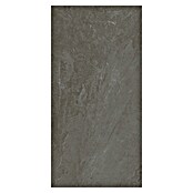 Podna pločica Soft Slate Sugar  (D x Š: 60 x 120 cm, Antracit, Izgled prirodnog kamena) | BAUHAUS