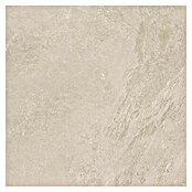 Podna pločica Soft Slate Sugar  (D x Š: 60 x 60 cm, Bež) | BAUHAUS
