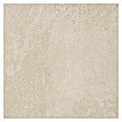 Podna pločica Soft Slate Sugar  (D x Š: 60 x 60 cm, Bež) | BAUHAUS