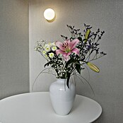 Marburg Eclectic Vliestapete (Sandbeige, Uni, 10,05 x 0,7 m) | BAUHAUS