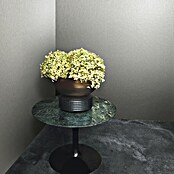 Marburg Eclectic Vliestapete Hammerschlag-Optik (Greige, Metalloptik, 10,05 x 0,7 m) | BAUHAUS