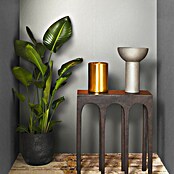 Marburg Eclectic Vliestapete (Beige, Metalloptik, 10,05 x 0,7 m) | BAUHAUS