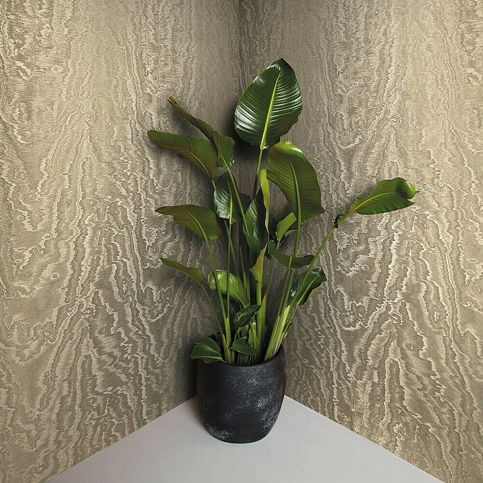 Marburg Eclectic Vliestapete Moiré (Gold, Metalloptik, 10,05 x 0,7 m) | BAUHAUS