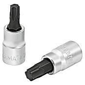 Matador Inserto para llaves de vaso (¼″, TX 10, TORX interior) | BAUHAUS