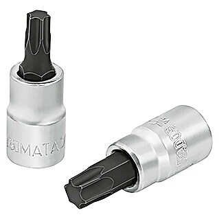 Matador Inserto para llaves de vaso (¼″, TX 40, TORX interior)