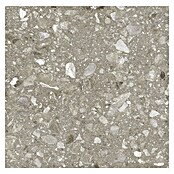 Kamena podna pločica Terra Greige  (60 x 60 cm, Sivo-bež, Mat) | BAUHAUS