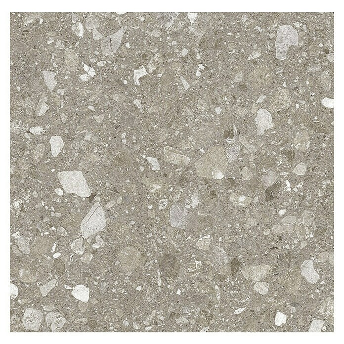 Kamena podna pločica Terra Greige Sugar  (60 x 60 cm, Sivo-bež, Mat) | BAUHAUS
