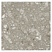 Kamena podna pločica Terra Greige  (60 x 60 cm, Sivo-bež, Mat) | BAUHAUS