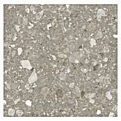 Kamena podna pločica Terra Greige  (60 x 60 cm, Sivo-bež, Mat) | BAUHAUS