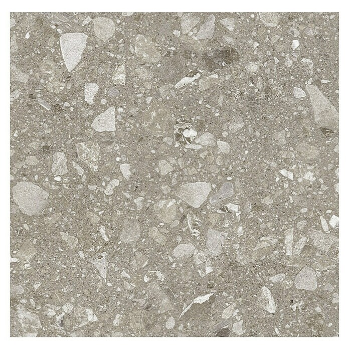 Kamena podna pločica Terra Greige  (60 x 60 cm, Sivo-bež, Mat) | BAUHAUS