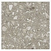Kamena podna pločica Terra Greige  (60 x 60 cm, Sivo-bež, Mat) | BAUHAUS