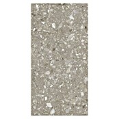 Kamena podna pločica Terra Greige Sugar  (120 x 60 cm, Sivo-bež, Mat) | BAUHAUS