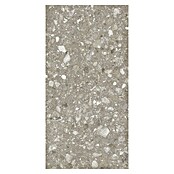 Kamena podna pločica Terra Greige Sugar  (120 x 60 cm, Sivo-bež, Mat) | BAUHAUS