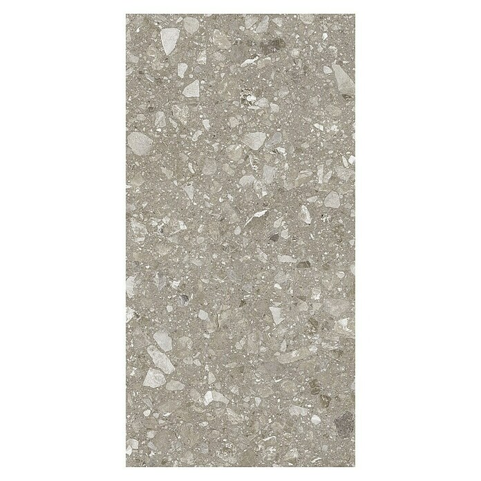 Kamena podna pločica Terra Greige Sugar  (120 x 60 cm, Sivo-bež, Mat) | BAUHAUS