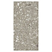 Kamena podna pločica Terra Greige Sugar  (120 x 60 cm, Sivo-bež, Mat) | BAUHAUS