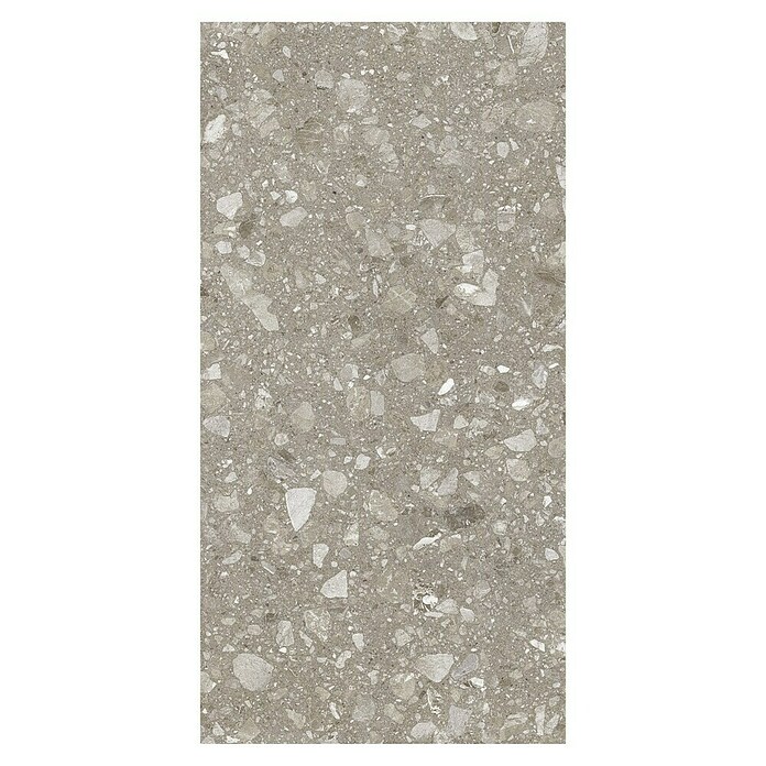 Kamena podna pločica Terra Greige Sugar  (120 x 60 cm, Sivo-bež, Mat) | BAUHAUS