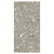 Kamena podna pločica Terra Greige Sugar  (120 x 60 cm, Sivo-bež, Mat) | BAUHAUS