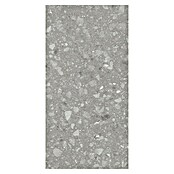 Kamena podna pločica Terra Grey Sugar  (120 x 60 cm, Siva, Mat) | BAUHAUS