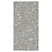 Kamena podna pločica Terra Grey Sugar  (120 x 60 cm, Siva, Mat) | BAUHAUS