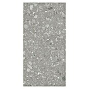 Kamena podna pločica Terra Grey Sugar  (120 x 60 cm, Siva, Mat) | BAUHAUS