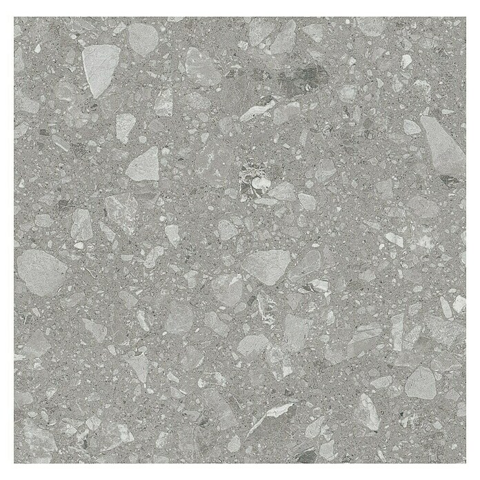Kamena podna pločica Terra Grey  (60 x 60 cm, Siva, Mat) | BAUHAUS