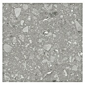 Kamena podna pločica Terra Grey  (60 x 60 cm, Siva, Mat) | BAUHAUS