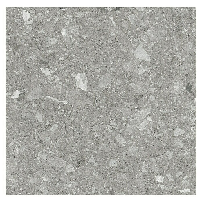 Kamena podna pločica Terra Grey  (60 x 60 cm, Siva, Mat) | BAUHAUS