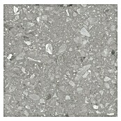 Kamena podna pločica Terra Grey  (60 x 60 cm, Siva, Mat) | BAUHAUS