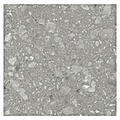 Kamena podna pločica Terra Grey Sugar  (60 x 60 cm, Siva, Mat) | BAUHAUS
