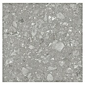 Kamena podna pločica Terra Grey Sugar  (60 x 60 cm, Siva, Mat) | BAUHAUS