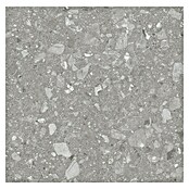 Kamena podna pločica Terra Grey  (60 x 60 cm, Siva, Mat) | BAUHAUS