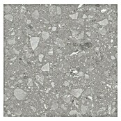Kamena podna pločica Terra Grey  (60 x 60 cm, Siva, Mat) | BAUHAUS