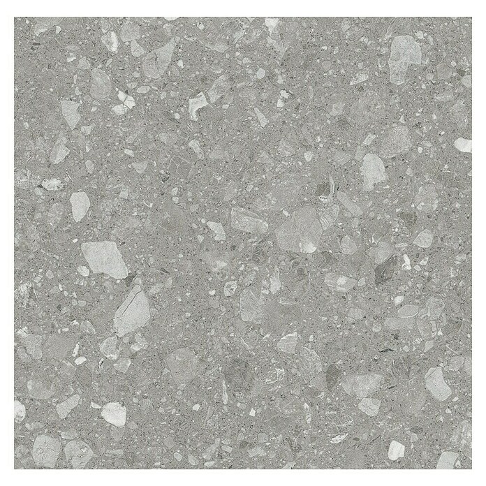Kamena podna pločica Terra Grey  (60 x 60 cm, Siva, Mat) | BAUHAUS