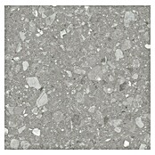 Kamena podna pločica Terra Grey  (60 x 60 cm, Siva, Mat) | BAUHAUS