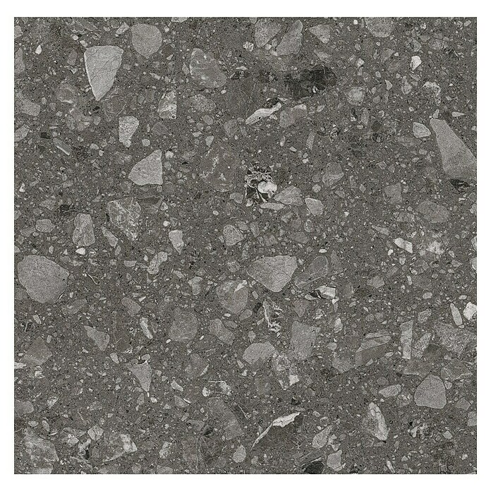 Kamena podna pločica Terra Anthracite Sugar  (60 x 60 cm, Antracit, Mat) | BAUHAUS