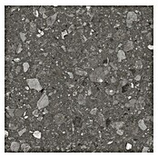 Kamena podna pločica Terra Anthracite Sugar  (60 x 60 cm, Antracit, Mat) | BAUHAUS