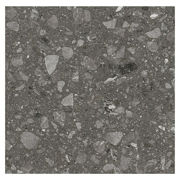 Kamena podna pločica Terra Anthracite Sugar  (60 x 60 cm, Antracit, Mat) | BAUHAUS