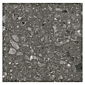Kamena podna pločica Terra Anthracite  (60 x 60 cm, Antracit, Mat) | BAUHAUS
