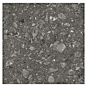 Kamena podna pločica Terra Anthracite Sugar  (60 x 60 cm, Antracit, Mat) | BAUHAUS