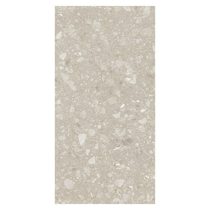 Kamena podna pločica Terra Beige  (120 x 60 cm, Bež, Mat) | BAUHAUS