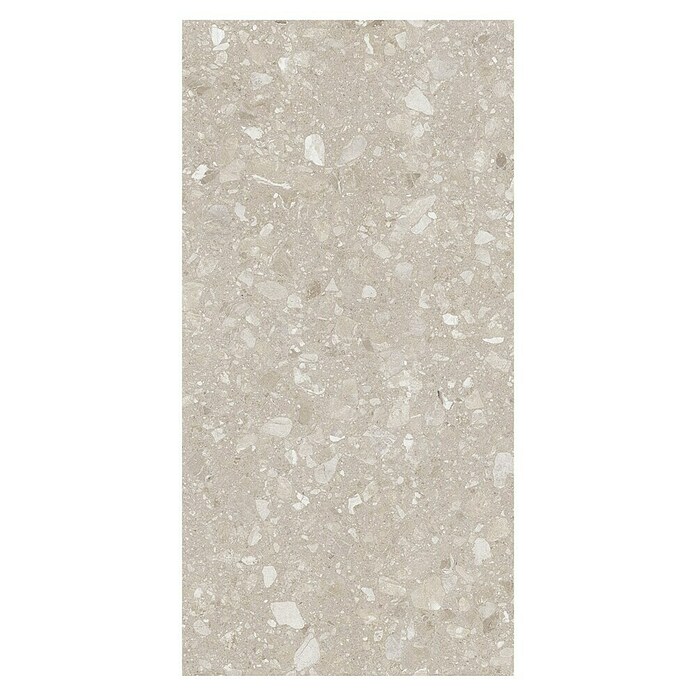 Kamena podna pločica Terra Beige  (120 x 60 cm, Bež, Mat) | BAUHAUS