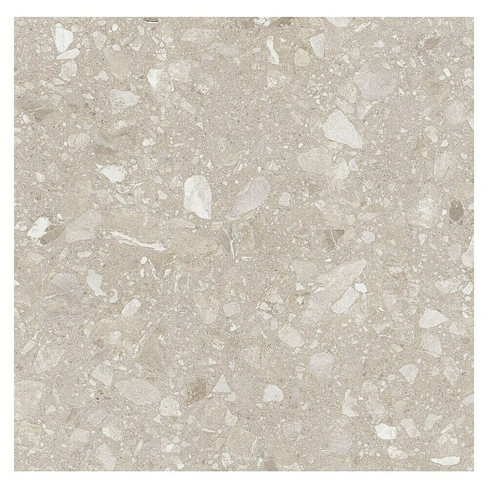 Kamena podna pločica Terra Beige  (60 x 60 cm, Bež, Mat) | BAUHAUS