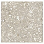 Kamena podna pločica Terra Beige  (60 x 60 cm, Bež, Mat) | BAUHAUS