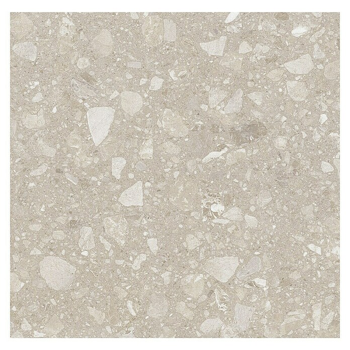 Kamena podna pločica Terra Beige  (60 x 60 cm, Bež, Mat) | BAUHAUS