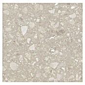 Kamena podna pločica Terra Beige  (60 x 60 cm, Bež, Mat) | BAUHAUS