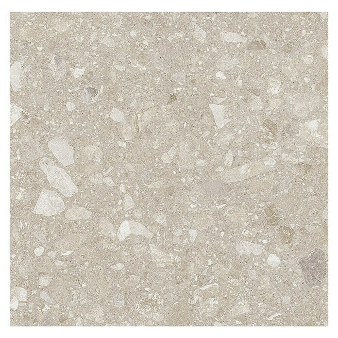 Kamena podna pločica Terra Beige Sugar  (60 x 60 cm, Bež, Mat) | BAUHAUS