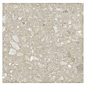 Kamena podna pločica Terra Beige Sugar  (60 x 60 cm, Bež, Mat) | BAUHAUS
