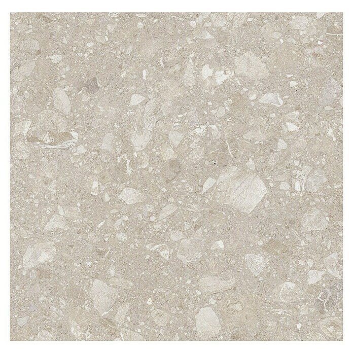 Kamena podna pločica Terra Beige  (60 x 60 cm, Bež, Mat) | BAUHAUS