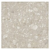 Kamena podna pločica Terra Beige  (60 x 60 cm, Bež, Mat) | BAUHAUS